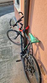 Bicicletta
