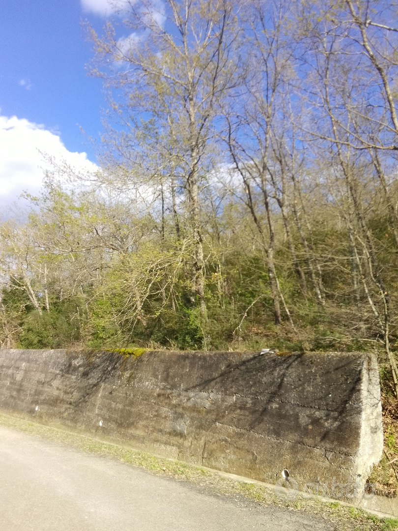 Terreni seminativi e boschivi - Vista 2