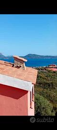 Pittulongu Olbia in residence