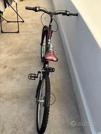 Bicicletta