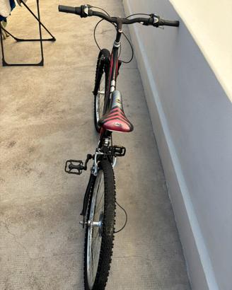Bicicletta