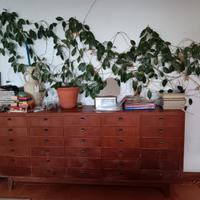 Cassettiera ufficio anni '50