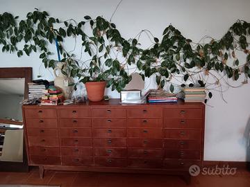 Cassettiera ufficio anni '50