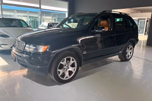 Bmw X5 3.0d cat