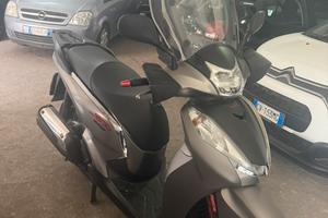 Sh 300 sport