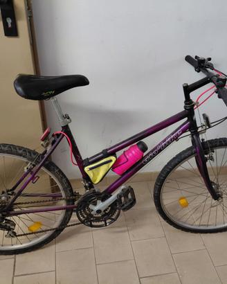 Mountain bike Gio Bike