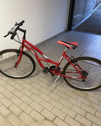 Bici mountain bike rossa