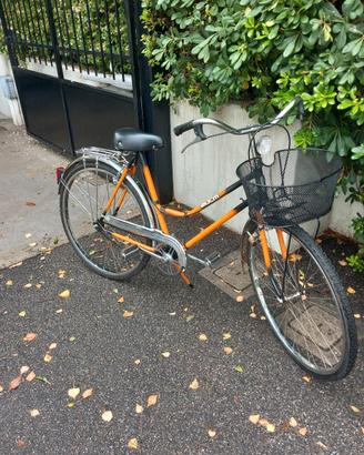 bicicletta da donna