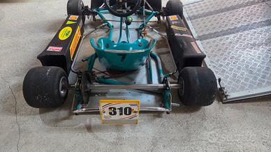 kart per gare in discesa 