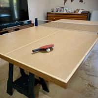 Tavolo ping pong professionale in mdf e legno