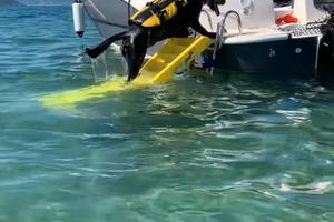 Rampa/scala per cani per barca