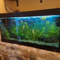acquario 300 litri
