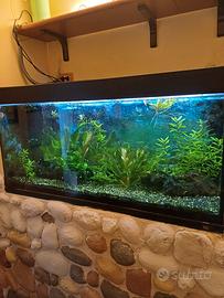 acquario 300 litri