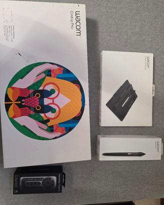 Wacom Cintiq 13 PRO  (+ KIT Penna, Stand, Roll)