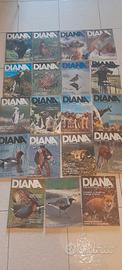 19 riviste Diana la rivista del cacciatore anni 80