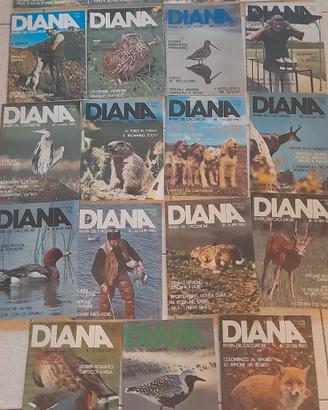 19 riviste Diana la rivista del cacciatore anni 80