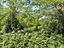 Immagine 22