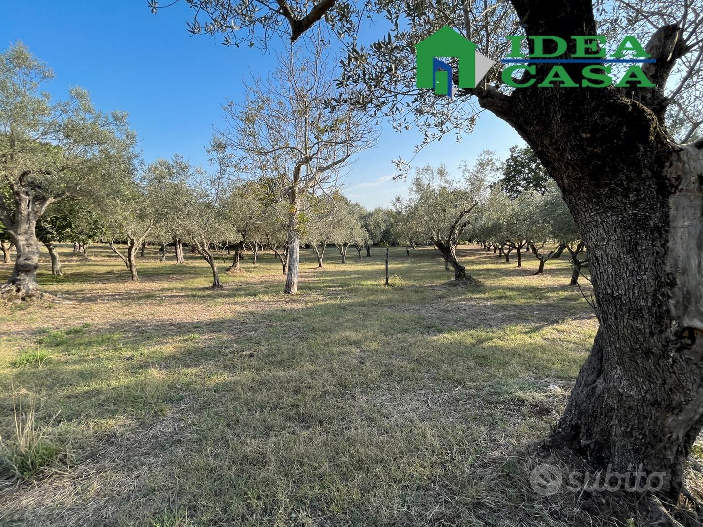 1.974 Terreno Agricolo Pianeggiante - Vista 4