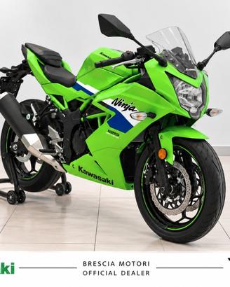 Kawasaki Ninja 125 MY 26 (visionabile)