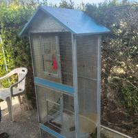 voliera per pappagalli 