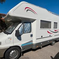 Elnagh golden king 1998