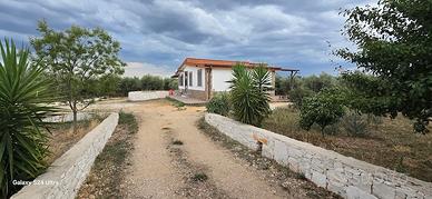 Massafra villa con annesso uliveto