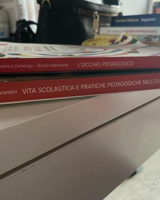 OCCHIO PEDAGOGICO e VITA SCOLASTICA E PRATICHE PED