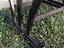 Immagine 4