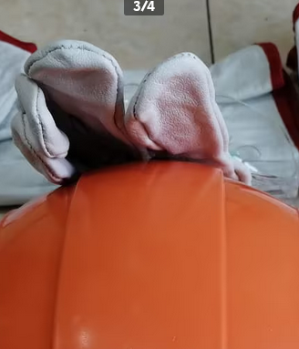 casco guanti e occhiali da Lavoro