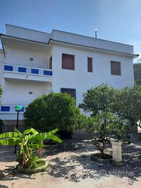 Rif. 231 baia verde - appartamento v. p