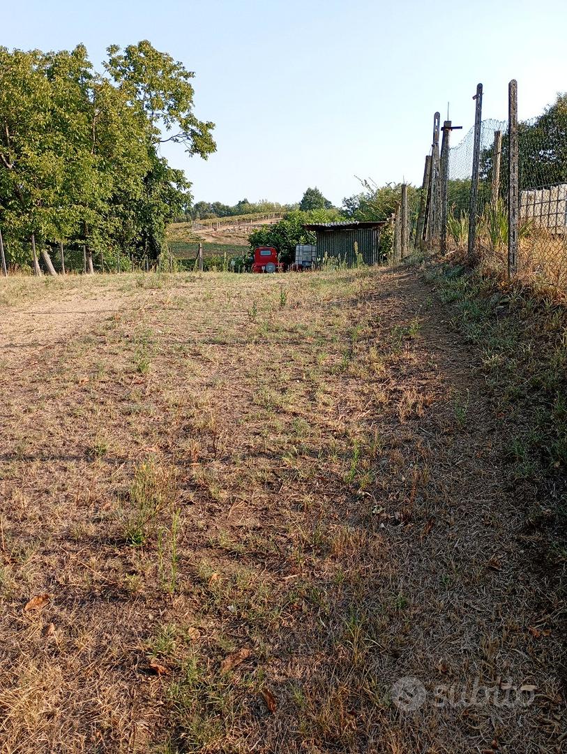 Terreno agricolo recintato - Altro