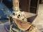 Immagine 1
