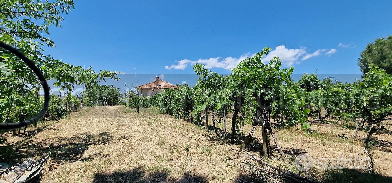 Terreno agricolo 7,5 ettari Castiglione di Sicilia - Vista 3