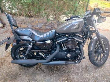 sportster 883 del 2019