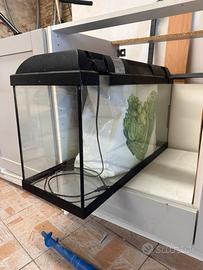 Acquario