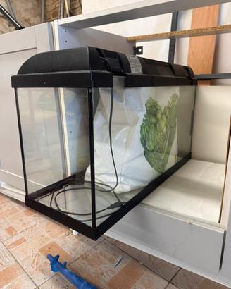 Acquario