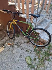 MtbTrek 800 Antelope
