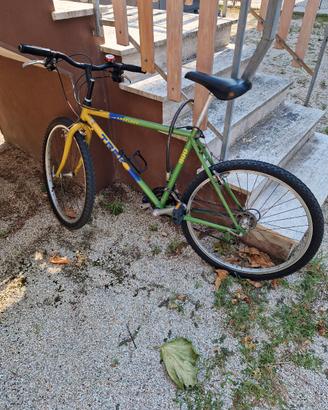 MtbTrek 800 Antelope