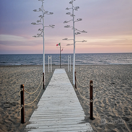 Casa sulla spiaggia Torvaianica libera dal 16/09