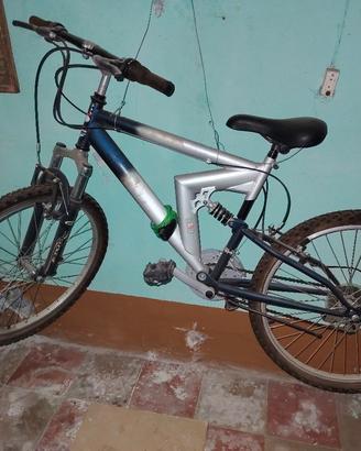 Mountain Bike Ammortizzata