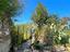 Immagine 26