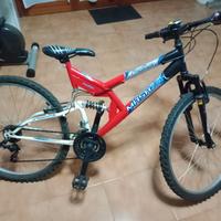 Mountain bike panther