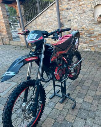 Beta rr 50 2019
