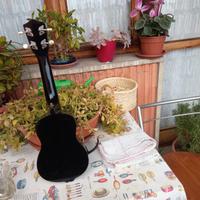 ukulele