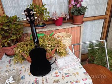ukulele