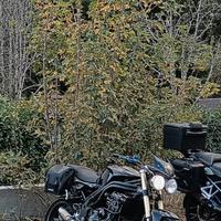 Triumph Speed Triple 1050 - 2006