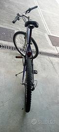 mountain bike ruote da 26 