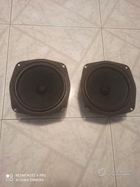 coppia woofer ciare da 20cm hw201