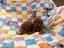 Immagine 11