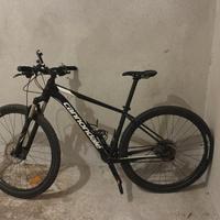 Cannondale Bici da montagna Trail 29 3 2018 BBQ 
